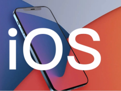 苹果 iOS / iPadOS 17.5 开发者预览版 Beta 4 发布